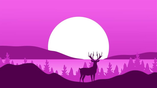 silhouette of a beautiful forest view