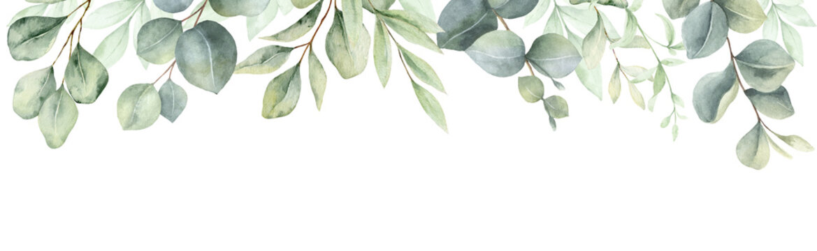 Watercolor banner with green eucalyptus leaves and branches. Greenery clipart for wedding invitation, greeting cards, save the date, stationery design.  Hand drawn illustration.