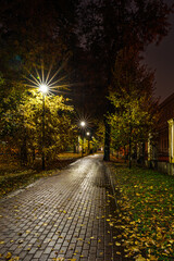 Paved pathway illuminated by streetlights in autumn park at dusk, surrounded by trees with colorful fallen leaves. Serene evening outdoor scene for calm mood.