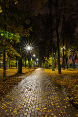 Paved pathway illuminated by streetlights in autumn park at dusk, surrounded by trees with colorful fallen leaves. Serene evening outdoor scene for calm mood.