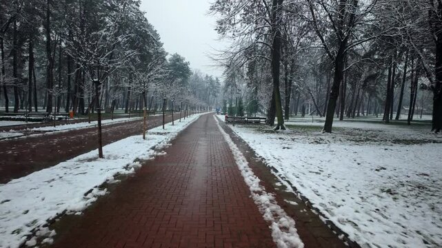 Walking Down Long Winter Park Path Between Snowy Trees