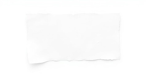 A piece of white paper with jagged, irregular edges, isolated on a pure white background,  tear,  detail