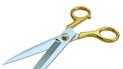 Luxurious Gold and Silver Scissors