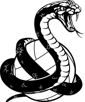 A snake volleyball mascot wrapped around a volleyball ball