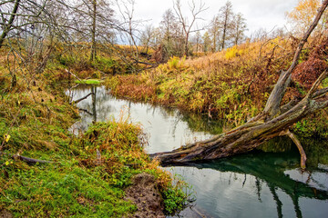 Small River in Rural Area in Late Autumn