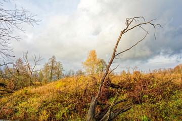 Small River in Rural Area in Late Autumn