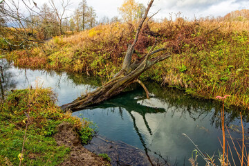 Small River in Rural Area in Late Autumn