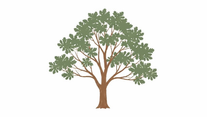 Obraz premium Simple and elegant illustration of an oak tree with a full canopy of muted green leaves and a brown trunk, in a soft, painted style.