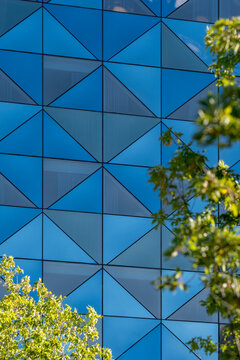 Blue modern abstract building architecture facade geometry triangles pattern with foliage creating stylish textured background for design