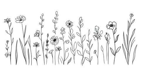 Obraz premium Hand drawn wild flower line art set with daisies, lavender, poppies, and garden grass stems in minimalist outline style botanical illustrations for nature design elements collection