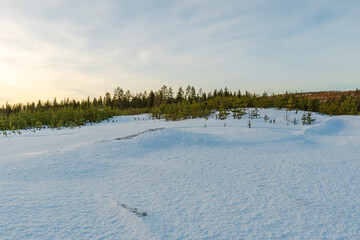 Beautiful winter landscape in Finnish Lapland around Akaslompolo, Finland