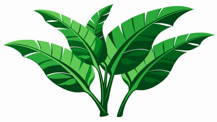 Fototapeta premium Vibrant green tropical leaves Vector