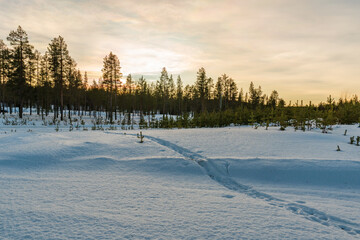 Beautiful sunset in Finnish Lapland. Winter in Finland