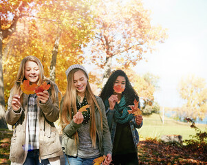 Happy, friends and girls with leaves, park and celebration for autumn, laughing or bonding in nature. Outdoor, fall and people with smile for holiday, together and teens on break, travel and season