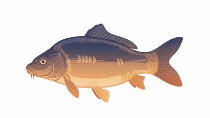 Detailed illustration of a carp fish with gradient coloring