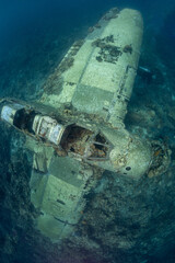 Underwater wreck of a jake sea plane in Palau captured while diving in clear waters © prelevicm