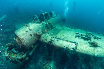 Underwater wreck of a Jake sea plane in Palau during a diving exploration in clear blue waters © prelevicm