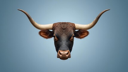 Longhorn Bull Head Graphic Illustration