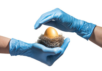 Doctor&rsquo;s hands in latex gloves protecting a golden egg isolated on white.