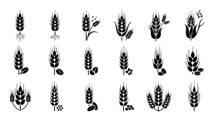 Fototapeta premium Black wheat ear and grain symbols representing agriculture harvest farming food production perfect for branding packaging baking industry brochures and restaurant menus