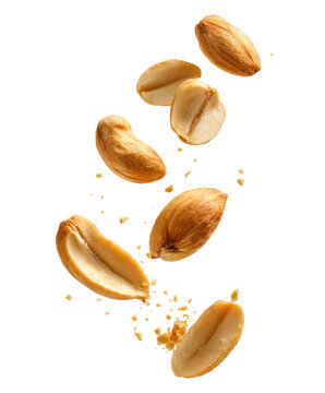 falling group of peanuts isolated on white or transparent png
