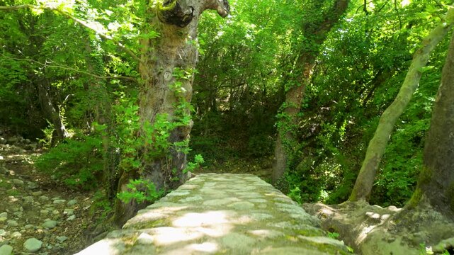 A small ancient stone bridge surrounded by lush green trees and dappled sunlight in a peaceful Greek woodland setting.
