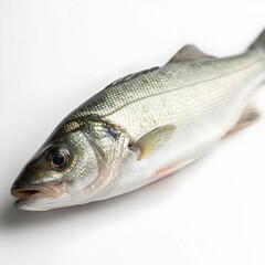 Fresh bass with glistening scales in a variety of from silver