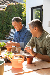 Senior male friends transplanting seedlings into pots on backyard patio with orange watering can