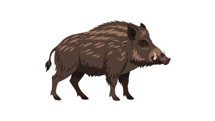 Fototapeta premium Vibrant wild boar illustration, side profile, sturdy tusks, earthy brown coat, powerful forest creature portrayal, wildlife art on white background.