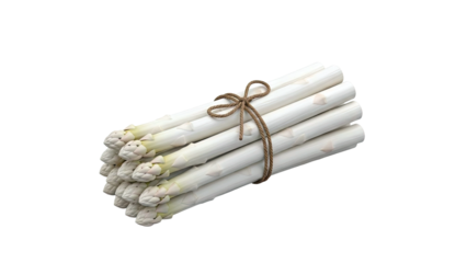 Bundle of white asparagus tied with twine