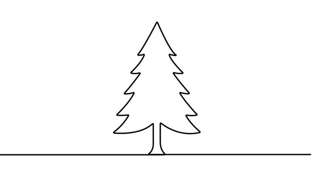 Minimalist continuous line art pine tree animation simple black and white evergreen forest element growing evolving abstract nature graphic