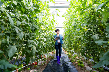 Young woman farmer using digital tablet in tomato farm