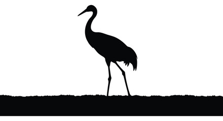 Obraz premium a striking black crane stands gracefully against a bright white background showcasing a detailed and elegant avian silhouette high quality professional
