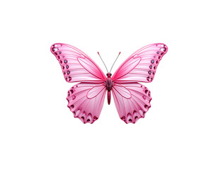 Obraz premium Watercolor illustration of butterflies and flowers on a white background