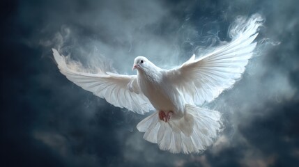 Fototapeta premium White dove flying with spread wings. Peace and freedom concept. Spiritual religious symbol. Symbol of hope and purity.