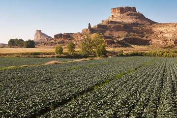 Picturesque pinnacle in Los Monegros. Torrollones La Gabarda, Huesca. Spain