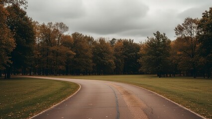 Fototapeta premium Winding Autumn Road Through Forest Landscape