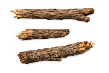 Dry wood branches with textured bark, creating a natural broken timber element set on transparent background