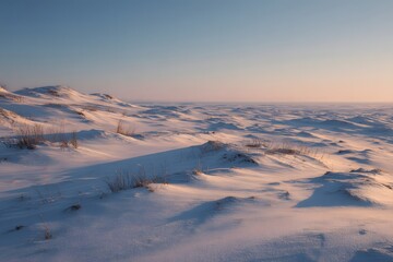 Untouched snowfield with long shadows under winter sunset