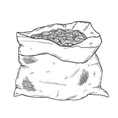 Oat Grain Sack. Ears of oats, grains in a bag isolated on white background.