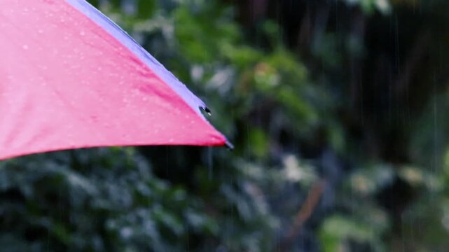 Colorful Red and Yellow Umbrella Under Heavy Rain in Green Nature. Wet Weather Protection Concept