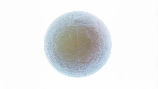 Cell division process: timelapse of cell splitting and duplication