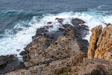 Seals resting on rocks at Cape Du Couedic, Flinders Chase, Australia