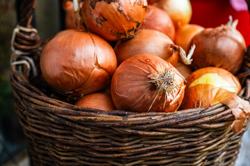 Macro view of whole onions spilling from a rustic wicker basket, detailed skins and roots catching light, ideal for recipe cards, farm branding, grocery promotions, and seasonal harvest concepts.