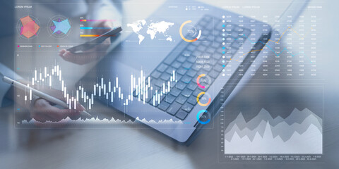 Analyzing Financial Data Trends with Interactive Digital Visualization Tools.