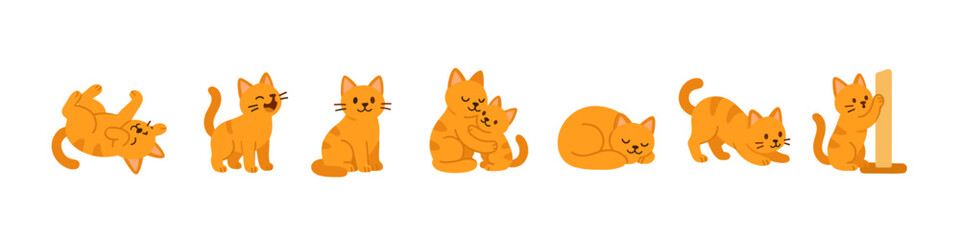 Obraz premium Playful cats illustrating various relaxed and joyful poses