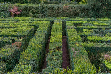  Glimpse The Labyrinth The