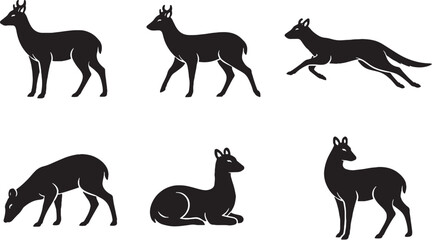 Fototapeta premium Musk Deer Slim Body Black and White Silhouette Bundle