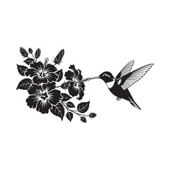 Hummingbird feeding on hibiscus flowers © Mdekramul