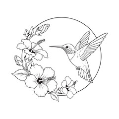 Hummingbird feeding on beautiful hibiscus flowers © Mdekramul